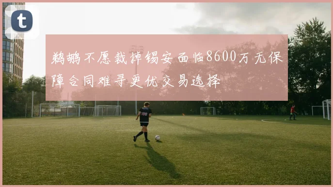 鹈鹕不愿裁掉锡安面临8600万无保障合同难寻更优交易选择