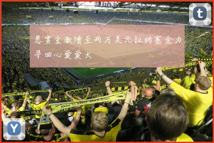 悬赏金激增至两万美元拉姆塞全力寻回心爱爱犬